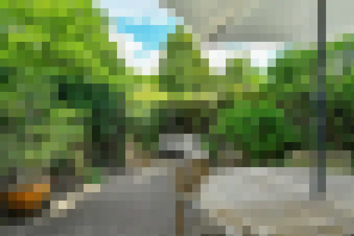 Hartenweg 14 Oosterbeek thumbnail 19