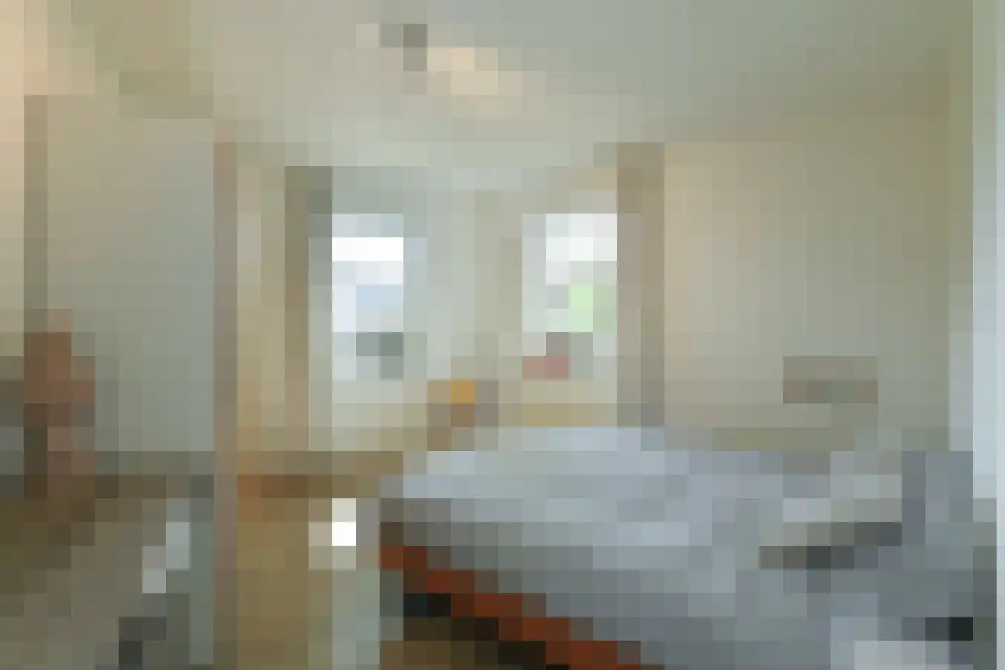 Hartenweg 14 Oosterbeek thumbnail 31