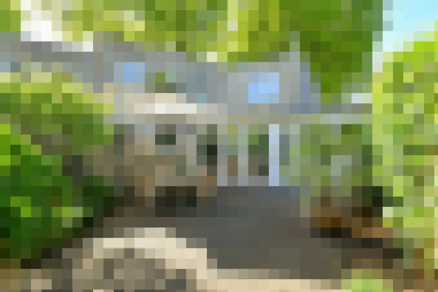 Hartenweg 14 Oosterbeek thumbnail 39