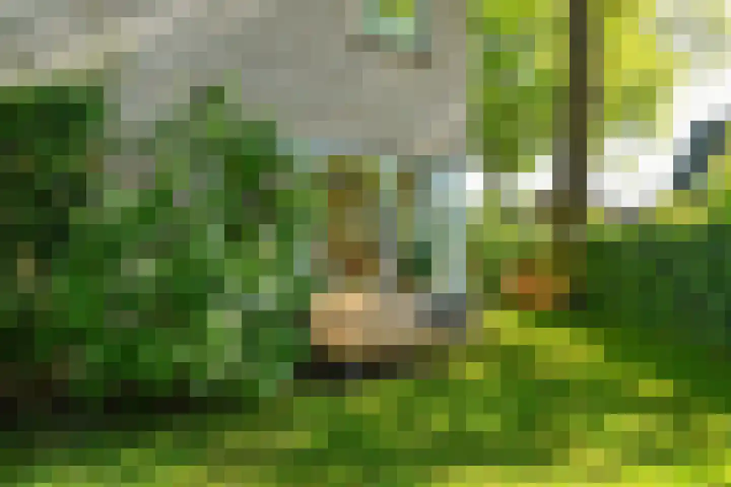 Hartenweg 14 Oosterbeek thumbnail 45