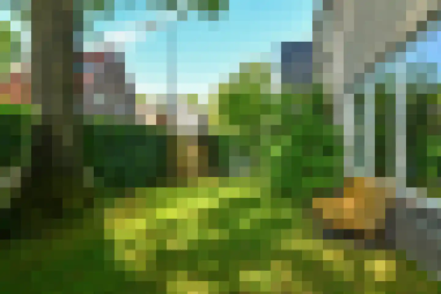 Hartenweg 14 Oosterbeek thumbnail 46