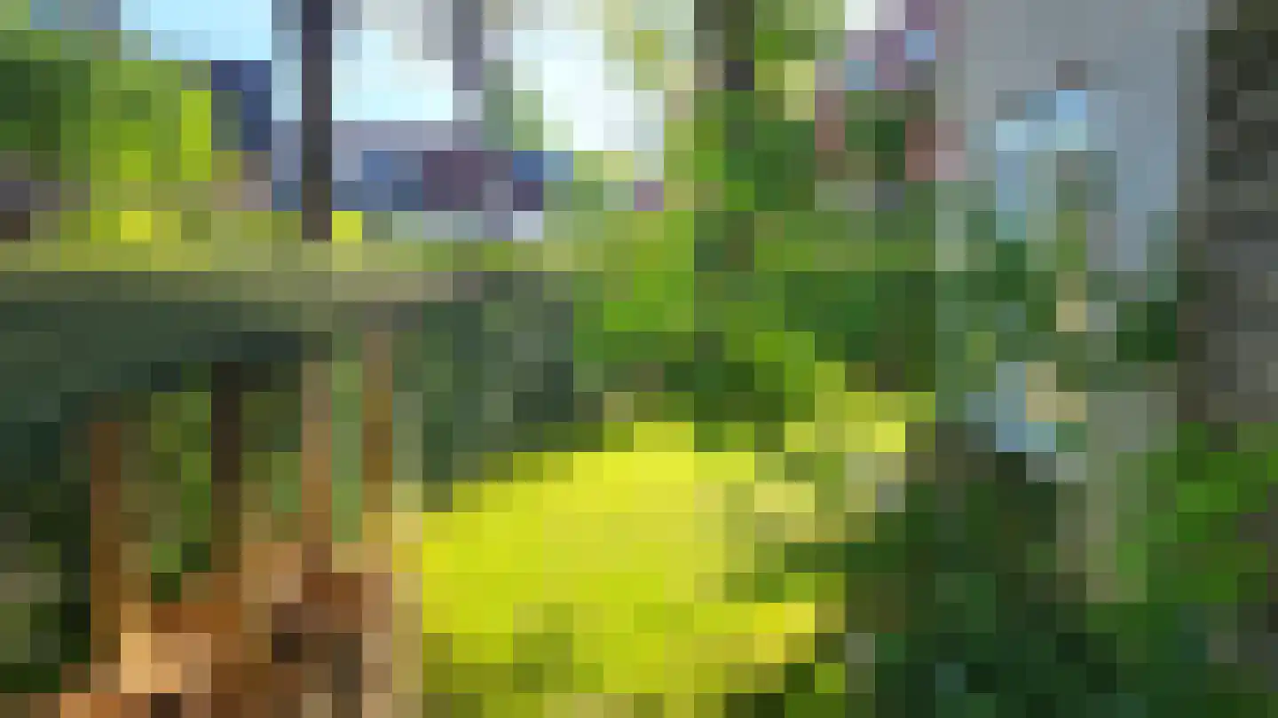 Hartenweg 14 Oosterbeek thumbnail 47