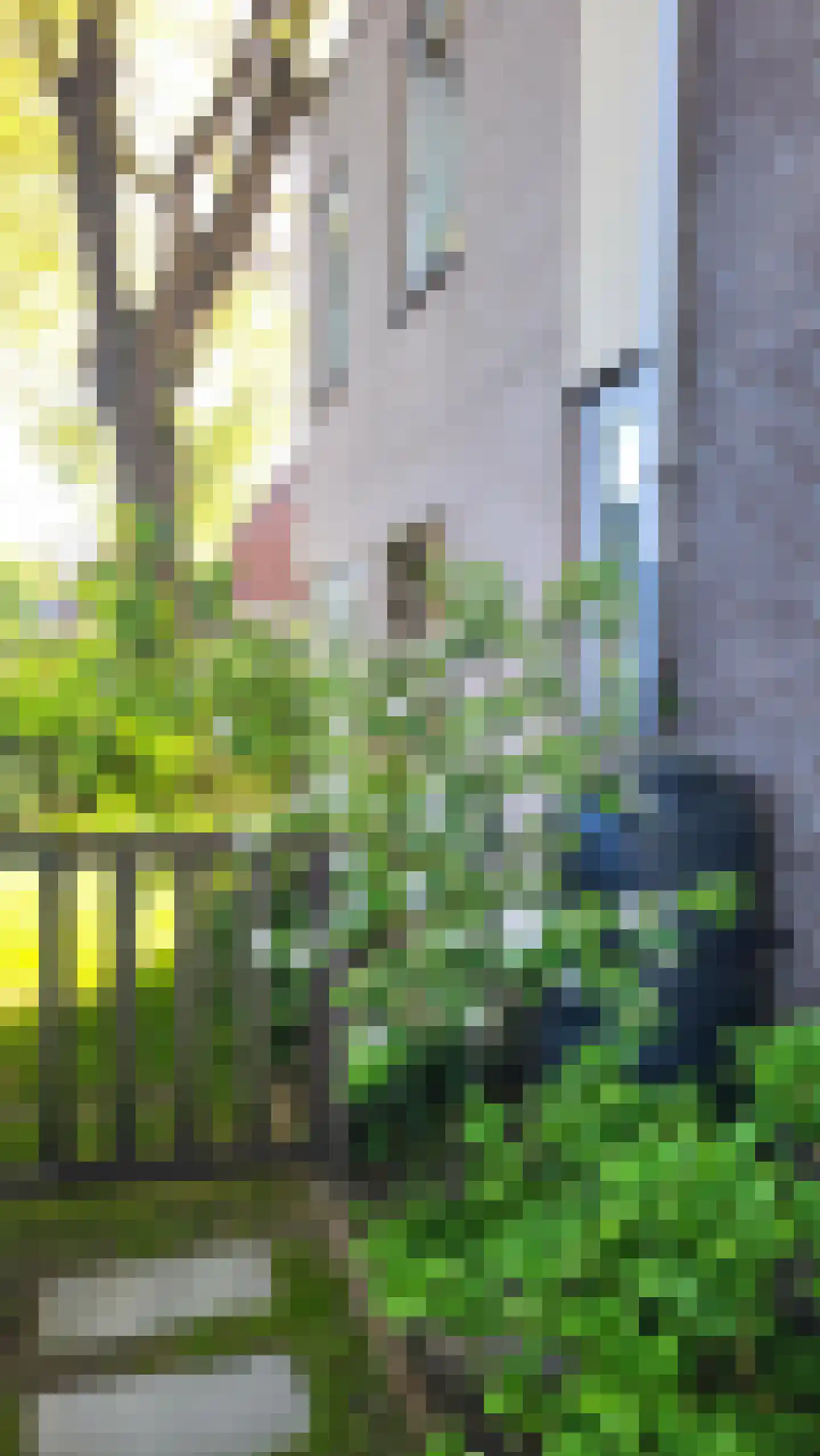 Hartenweg 14 Oosterbeek thumbnail 48