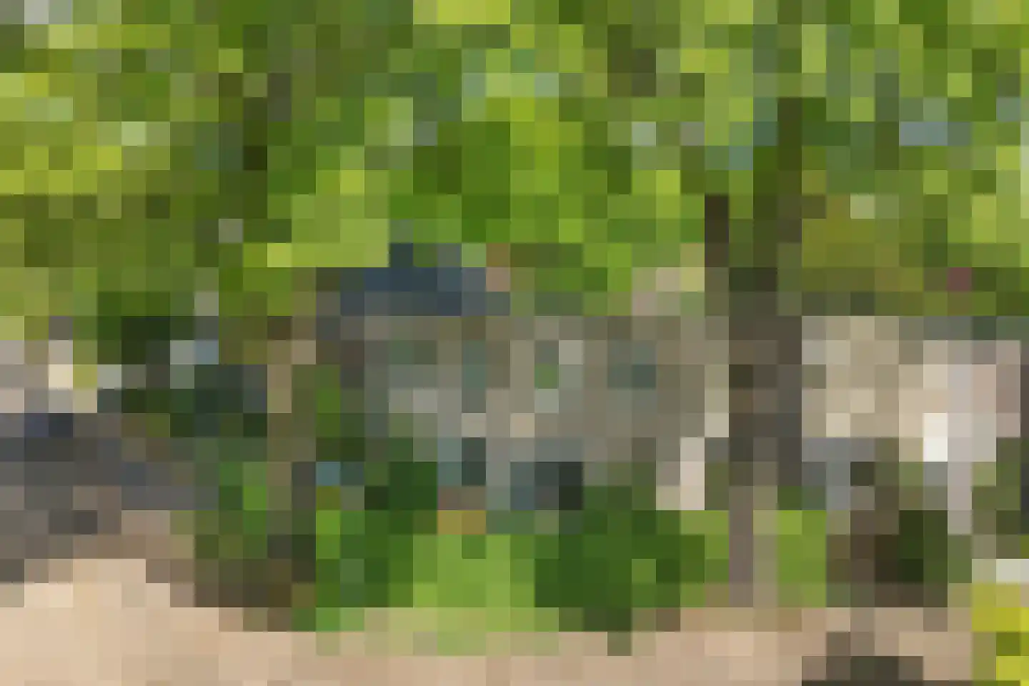 Hartenweg 14 Oosterbeek thumbnail 51