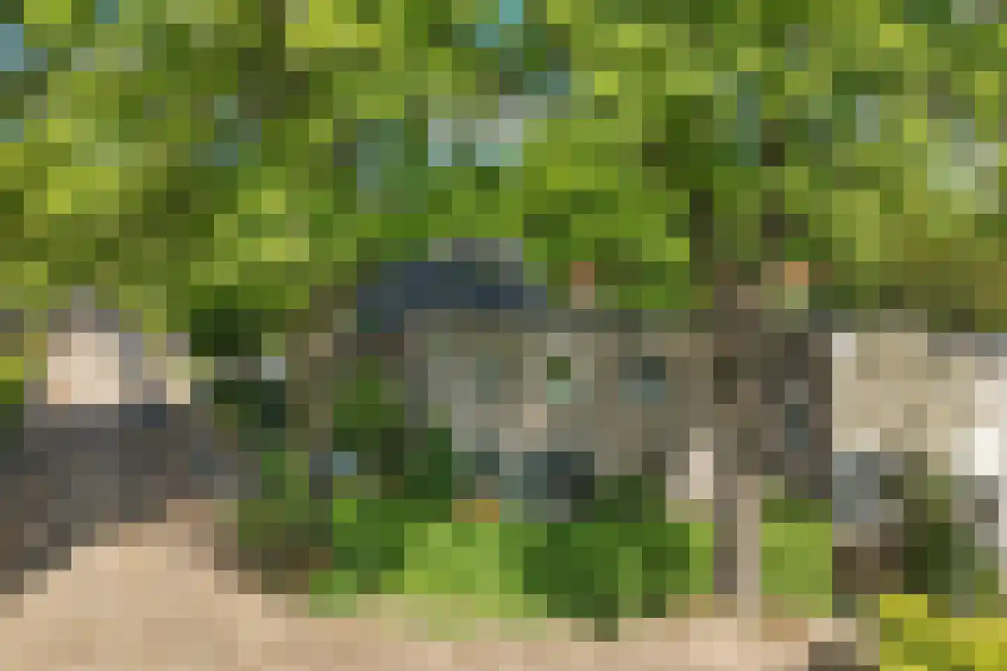 Hartenweg 14 Oosterbeek thumbnail 53