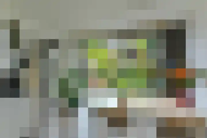 Hartenweg 31 Oosterbeek thumbnail 17