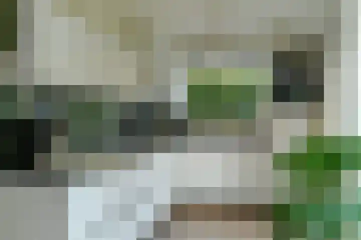 Hartenweg 31 Oosterbeek thumbnail 18