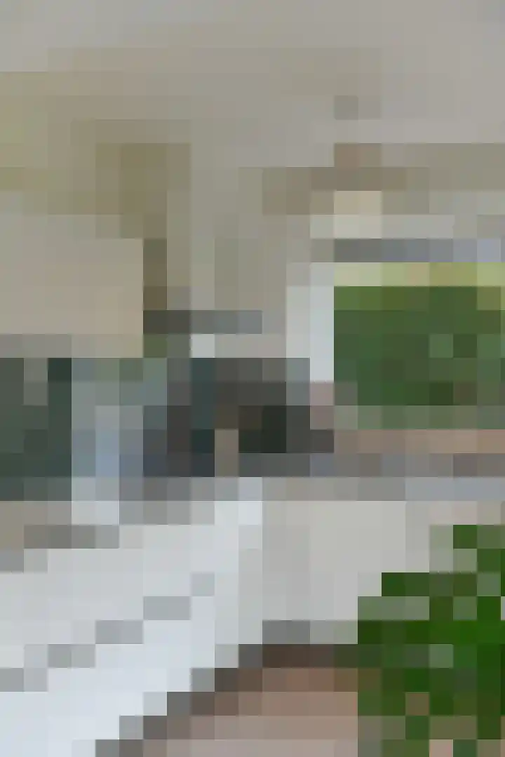 Hartenweg 31 Oosterbeek thumbnail 20