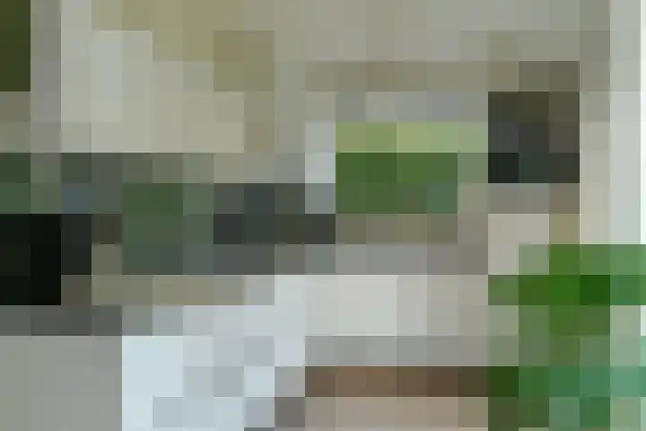 Hartenweg 31 Oosterbeek thumbnail 4