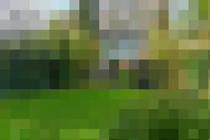 Hartenweg 31 Oosterbeek thumbnail 41