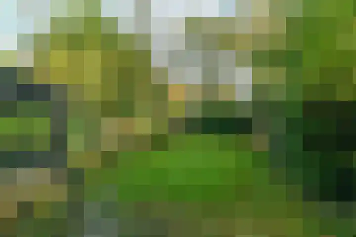 Hartenweg 31 Oosterbeek thumbnail 47