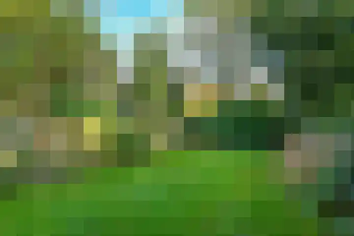 Hartenweg 31 Oosterbeek thumbnail 48