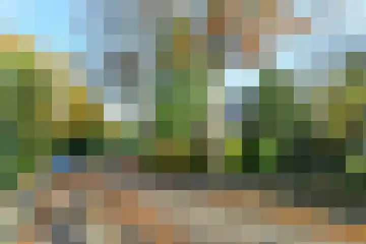 Hartenweg 31 Oosterbeek thumbnail 49