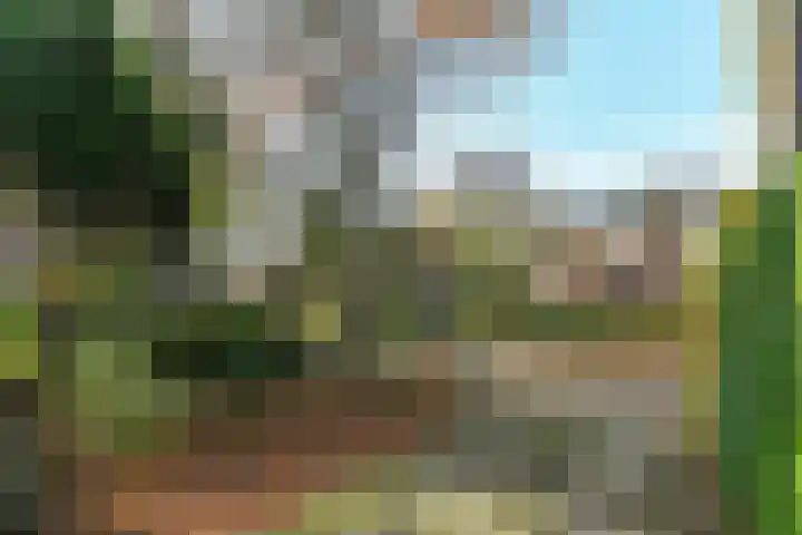 Hartenweg 31 Oosterbeek thumbnail 50