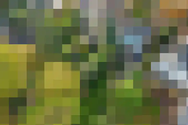 Hartenweg 31 Oosterbeek thumbnail 52