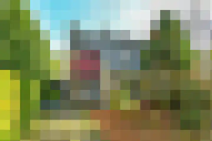 Hartenweg 31 Oosterbeek thumbnail 6