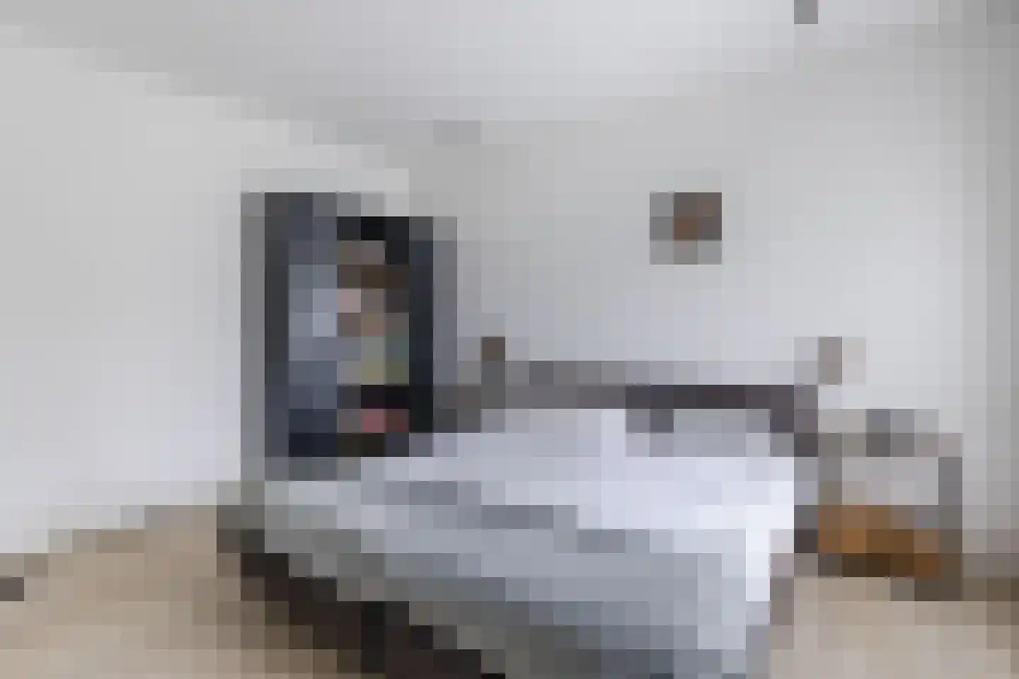 Hartenweidtje 1 Bergen (NH) thumbnail 15