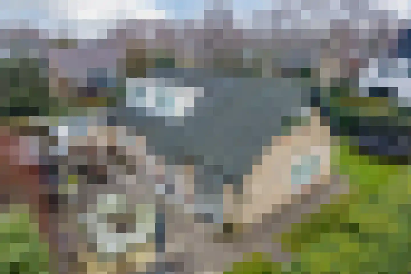 Hartenweidtje 1 Bergen (NH) thumbnail 32