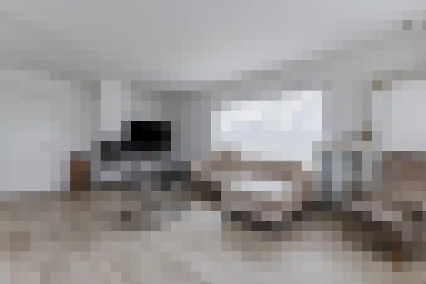 Hartenweidtje 1 Bergen (NH) thumbnail 8