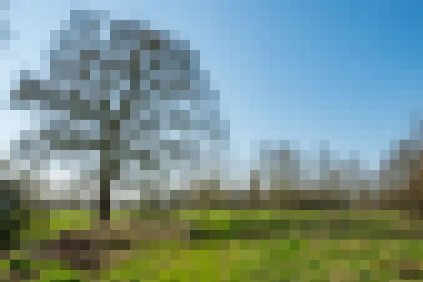 Harterinkdijk 1 Varsseveld thumbnail 101