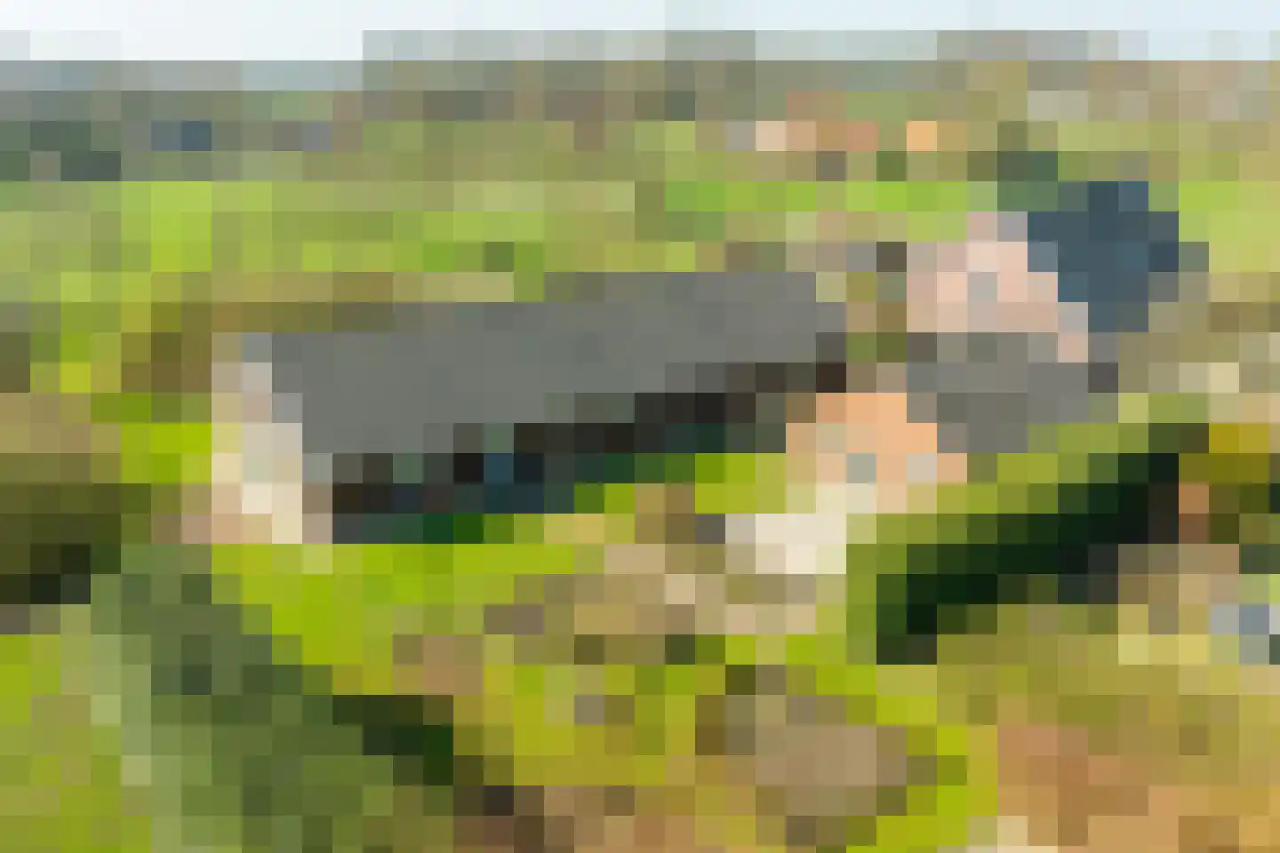 Harterinkdijk 1 Varsseveld thumbnail 6