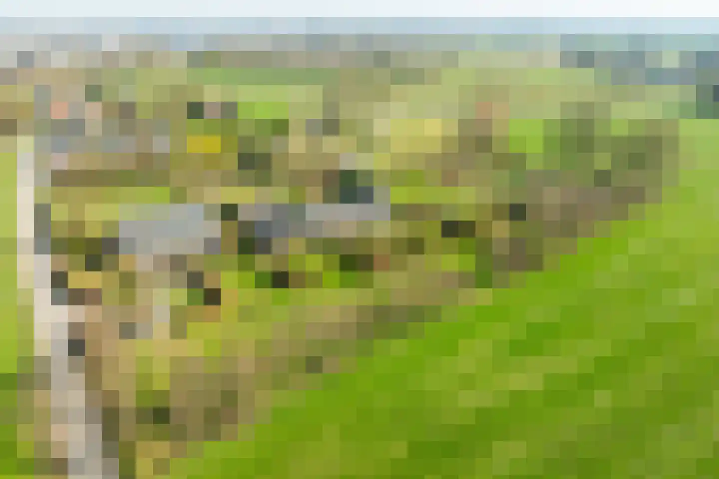 Harterinkdijk 1 Varsseveld thumbnail 8