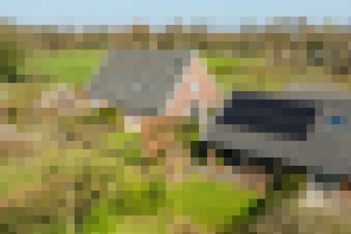 Harterinkdijk 1 Varsseveld thumbnail 9