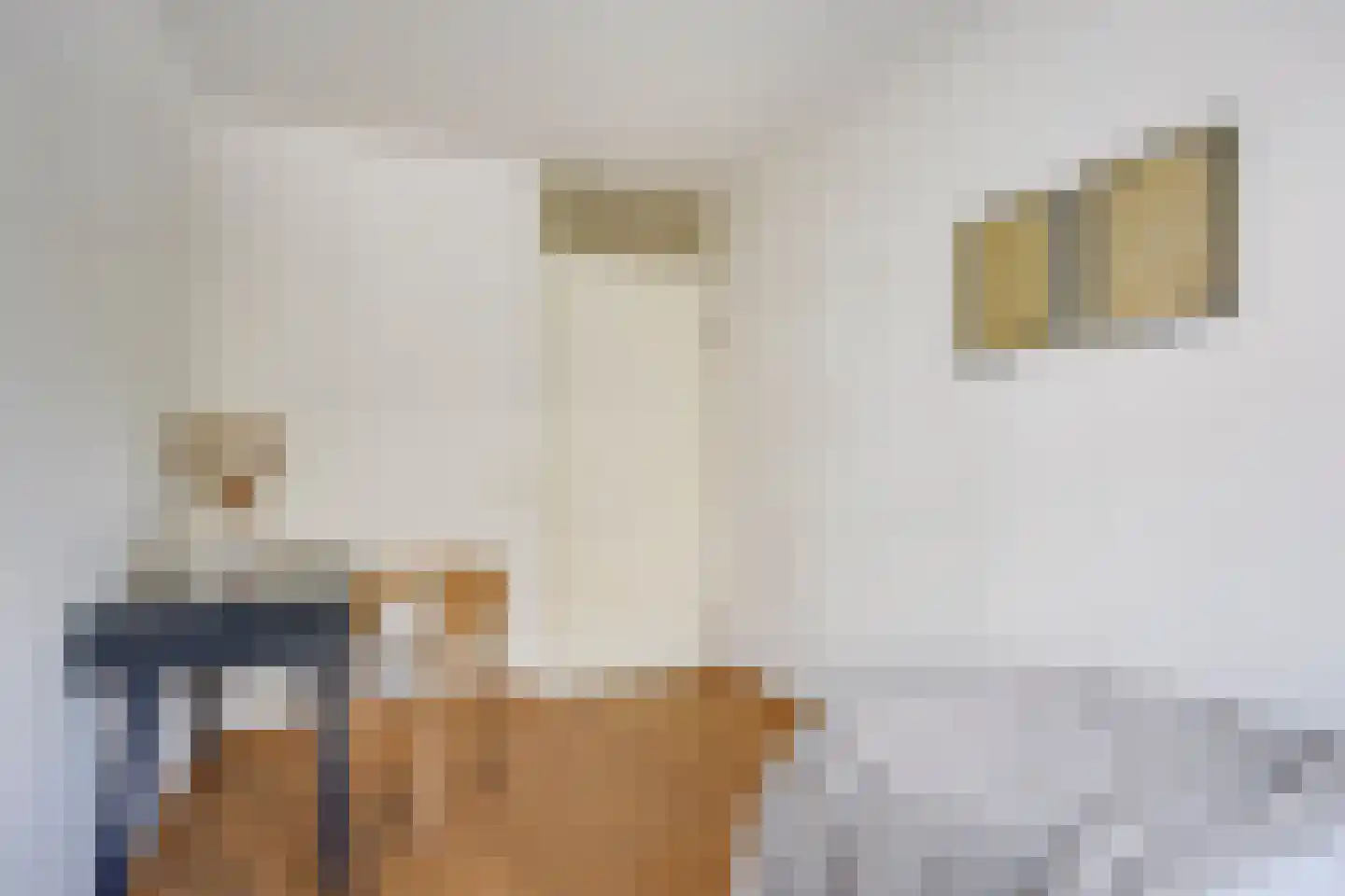 Hartingstraat 106 Utrecht thumbnail 29