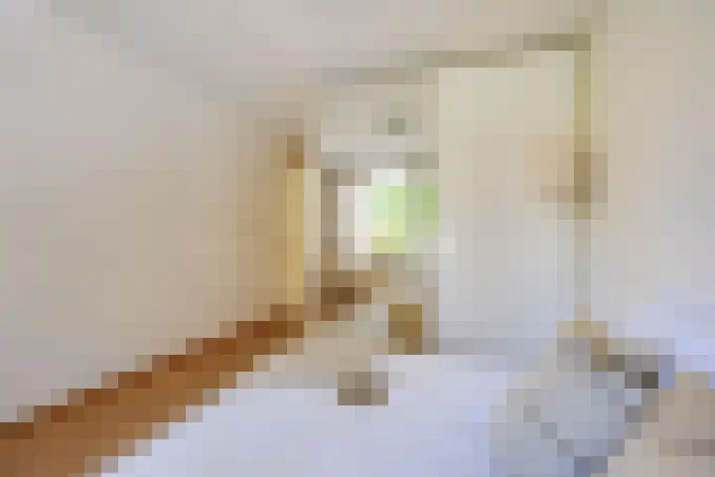 Hartingstraat 106 Utrecht thumbnail 32
