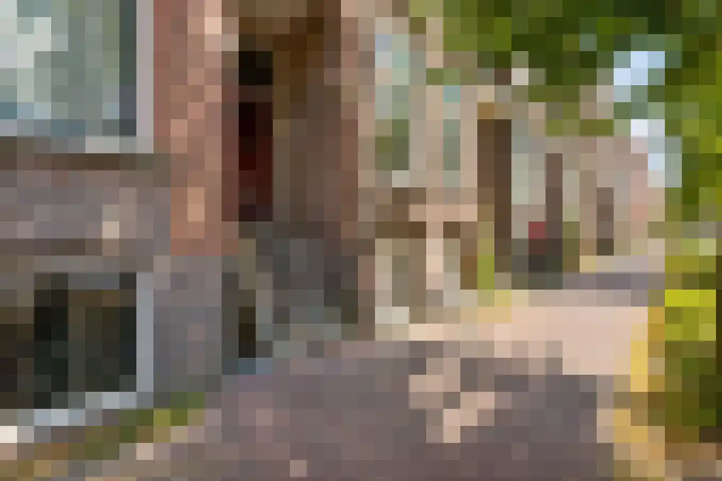 Hartingstraat 14 Utrecht thumbnail 26