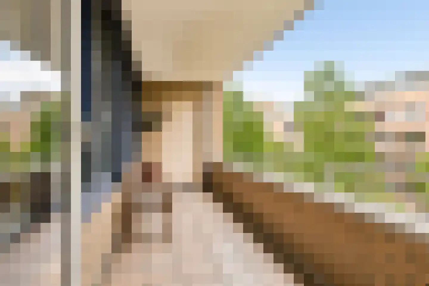 Hartingstraat 164 Utrecht thumbnail 11