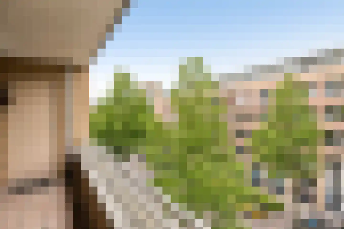Hartingstraat 164 Utrecht thumbnail 12