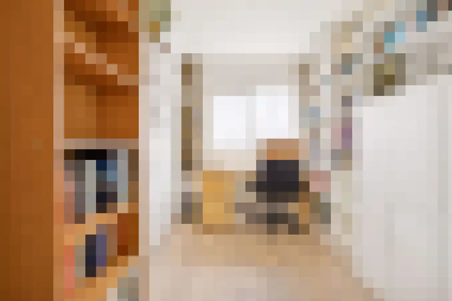 Hartingstraat 164 Utrecht thumbnail 19