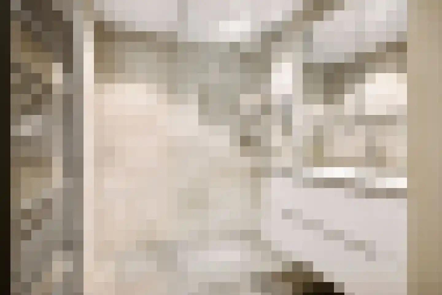 Hartingstraat 164 Utrecht thumbnail 21