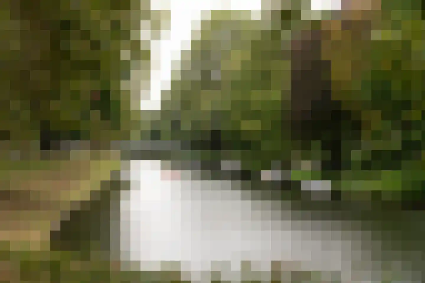 Hartingstraat 172 Utrecht thumbnail 38