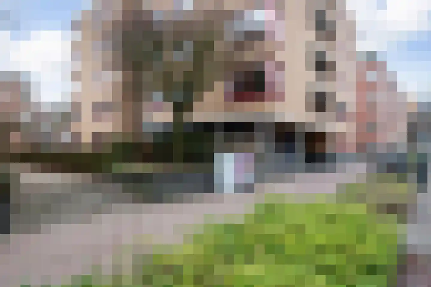 Hartingstraat 190 Utrecht thumbnail 25
