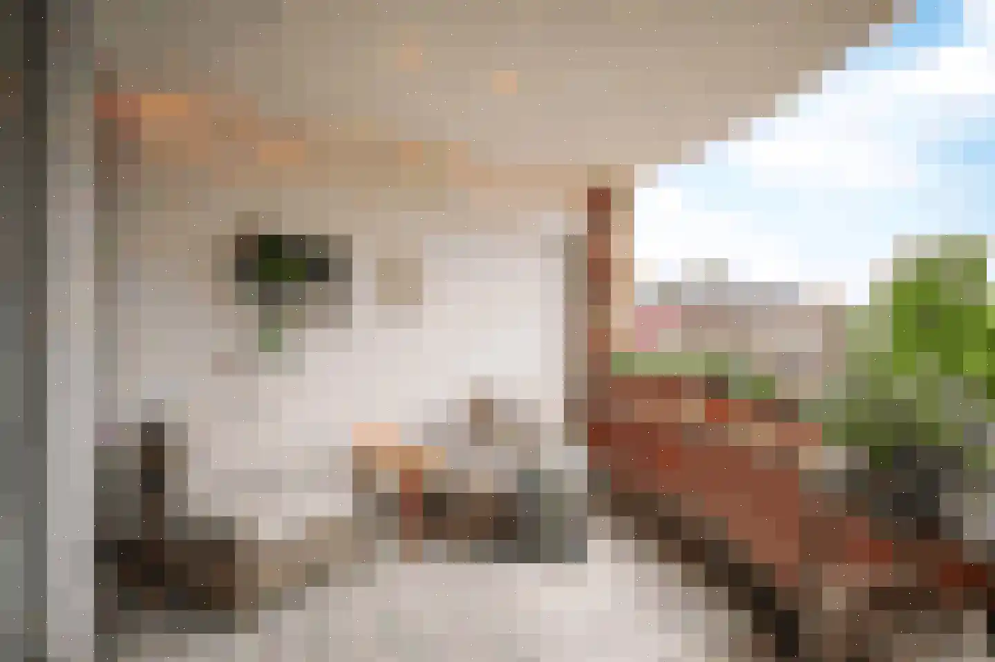 Hartingstraat 221 Utrecht thumbnail 13