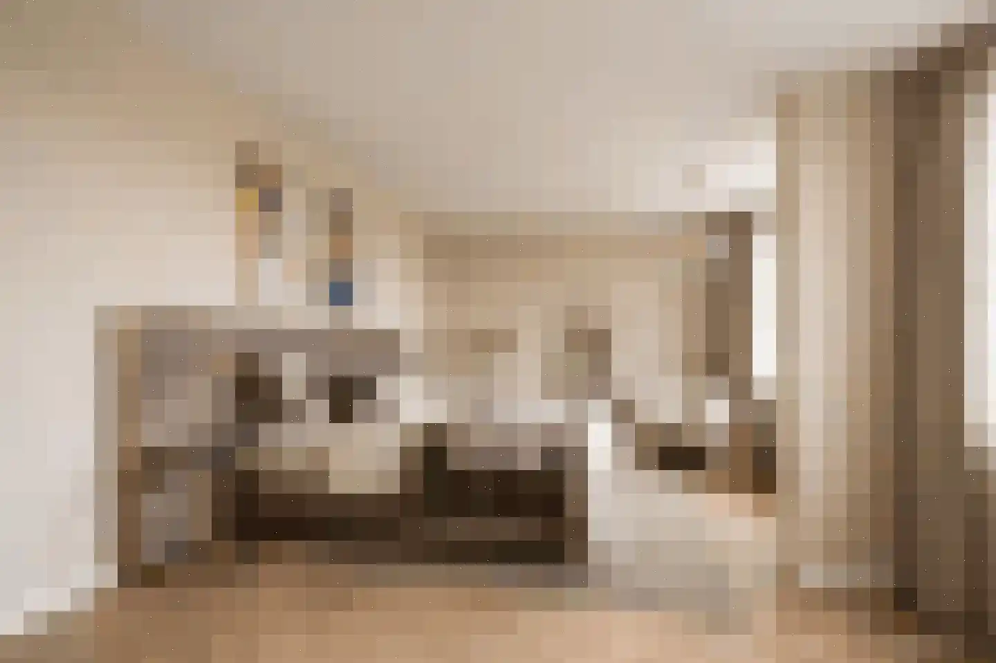 Hartingstraat 221 Utrecht thumbnail 17