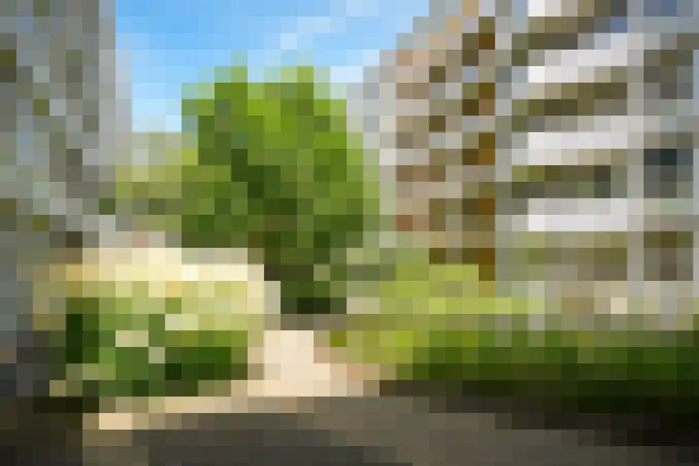 Hartingstraat 221 Utrecht thumbnail 21