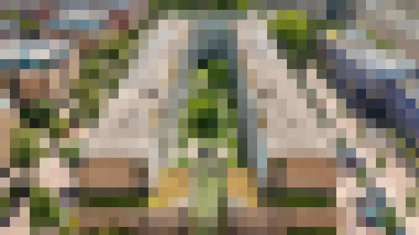 Hartingstraat 221 Utrecht thumbnail 32