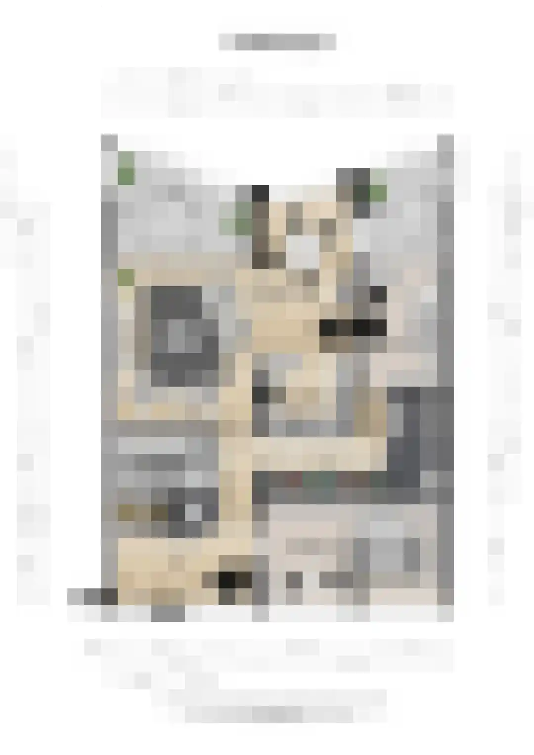 Hartingstraat 221 Utrecht thumbnail 36