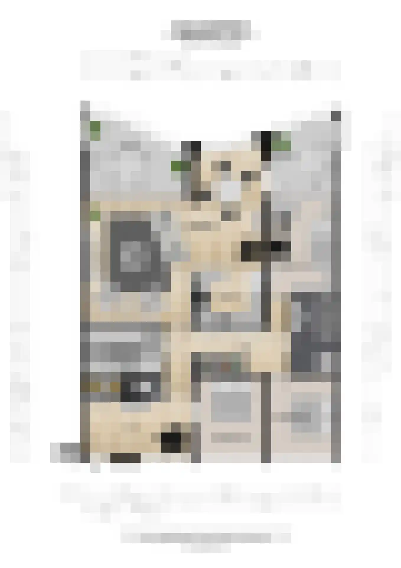 Hartingstraat 221 Utrecht thumbnail 37