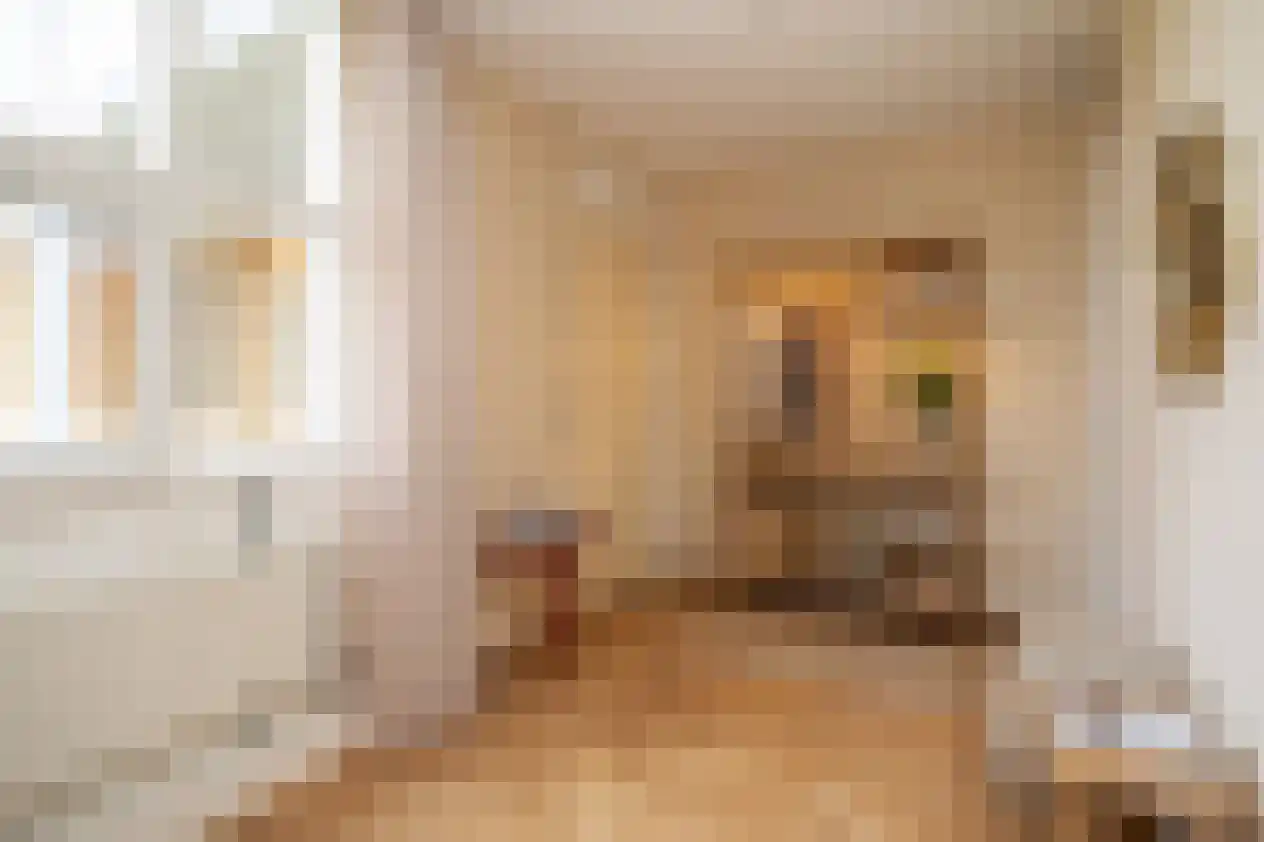 Hartingstraat 221 Utrecht thumbnail 5