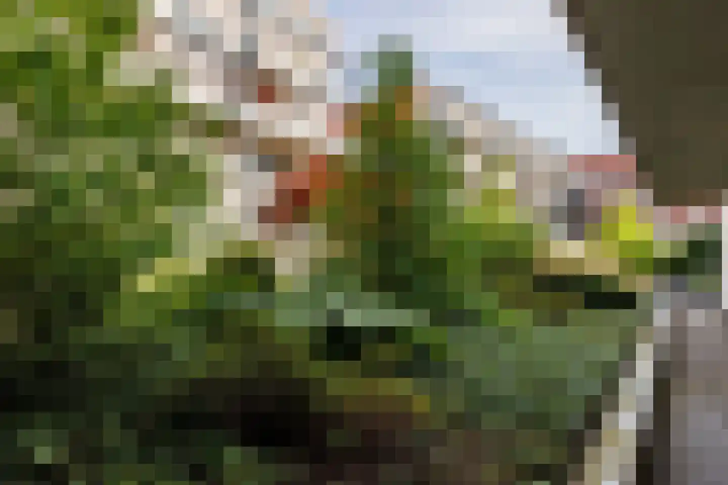 Hartingstraat 230 Utrecht thumbnail 14