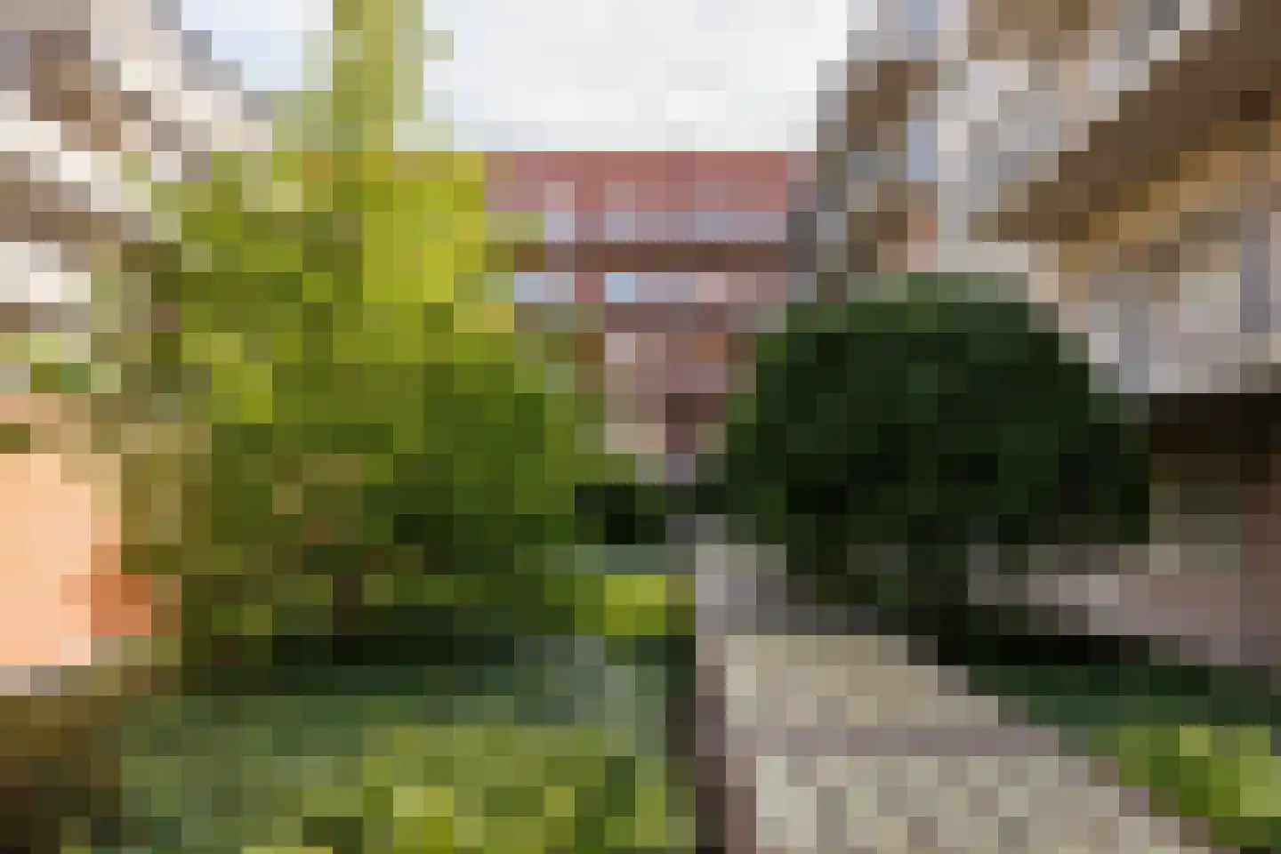 Hartingstraat 230 Utrecht thumbnail 15