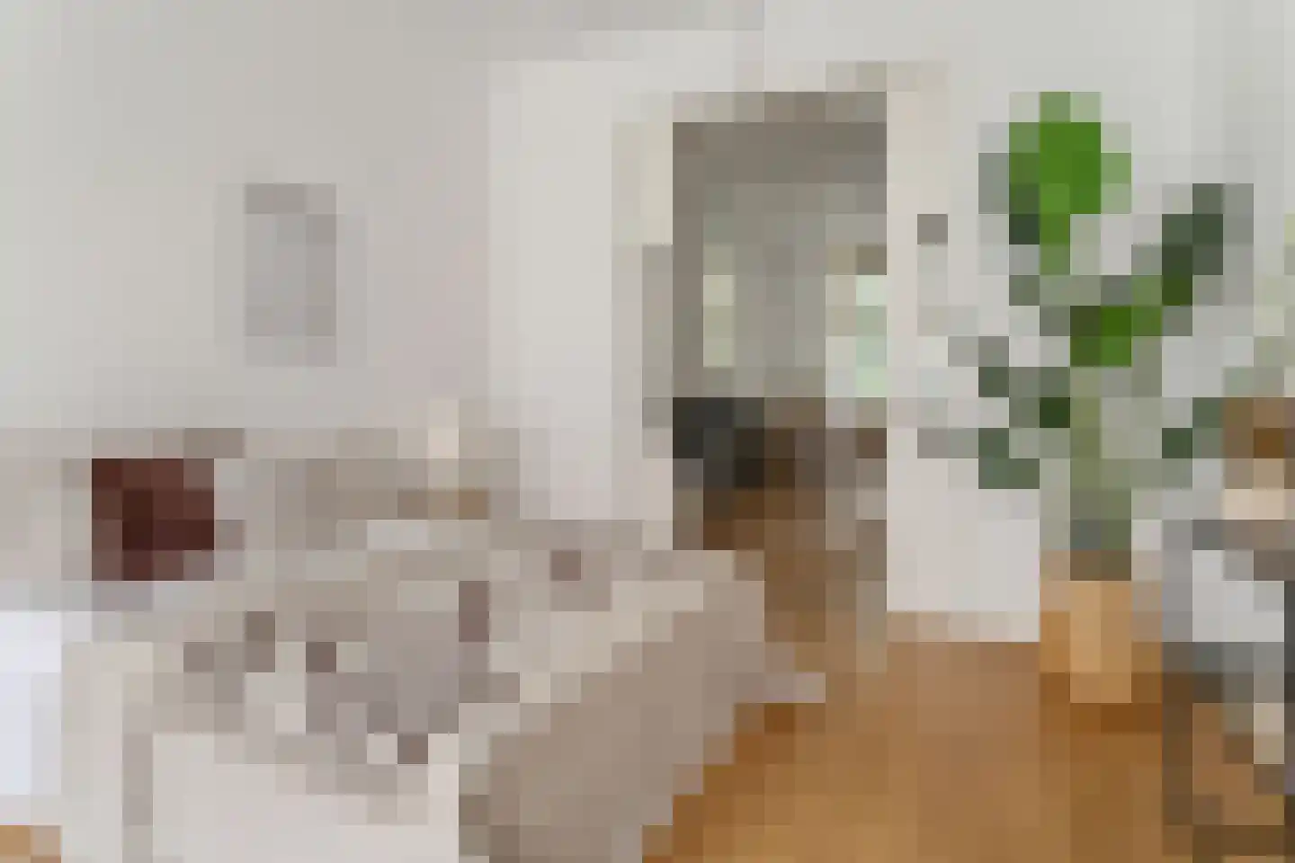 Hartingstraat 26 Utrecht thumbnail 13