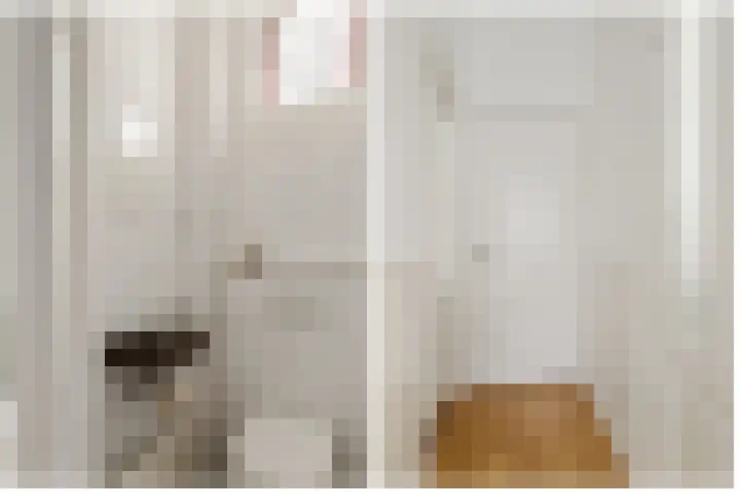 Hartingstraat 26 Utrecht thumbnail 18