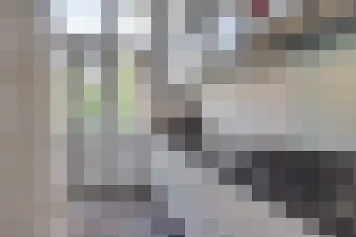 Hartingstraat 4 BS Utrecht thumbnail 23