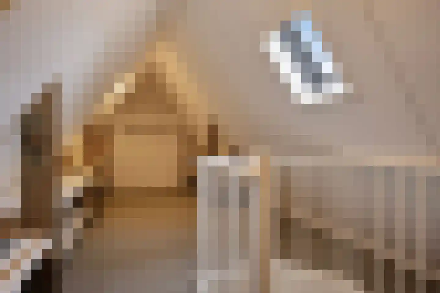 Hartkamp 1 Blokzijl thumbnail 26