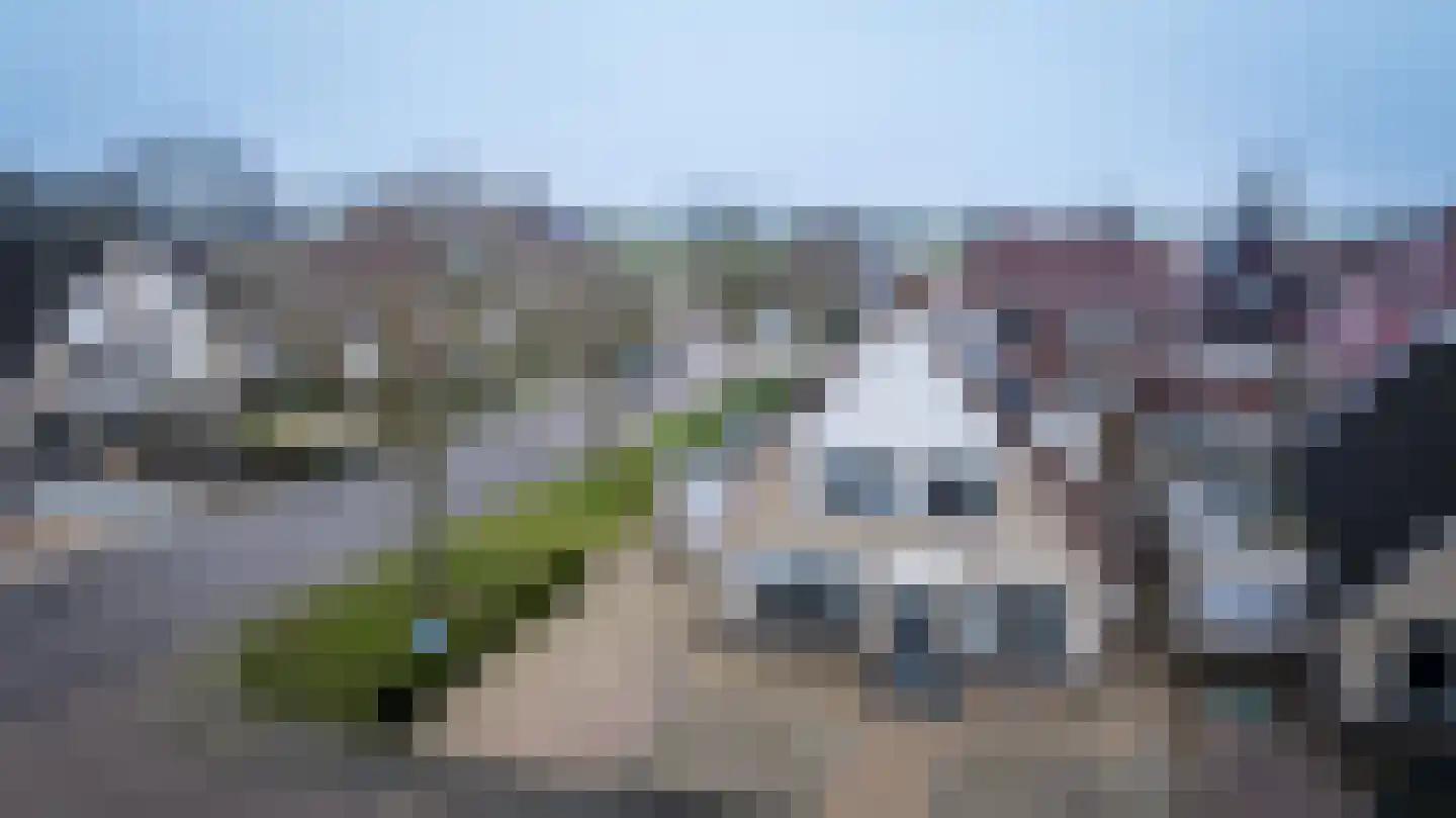 Hartkamp 1 Blokzijl thumbnail 35